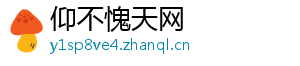 仰不愧天网